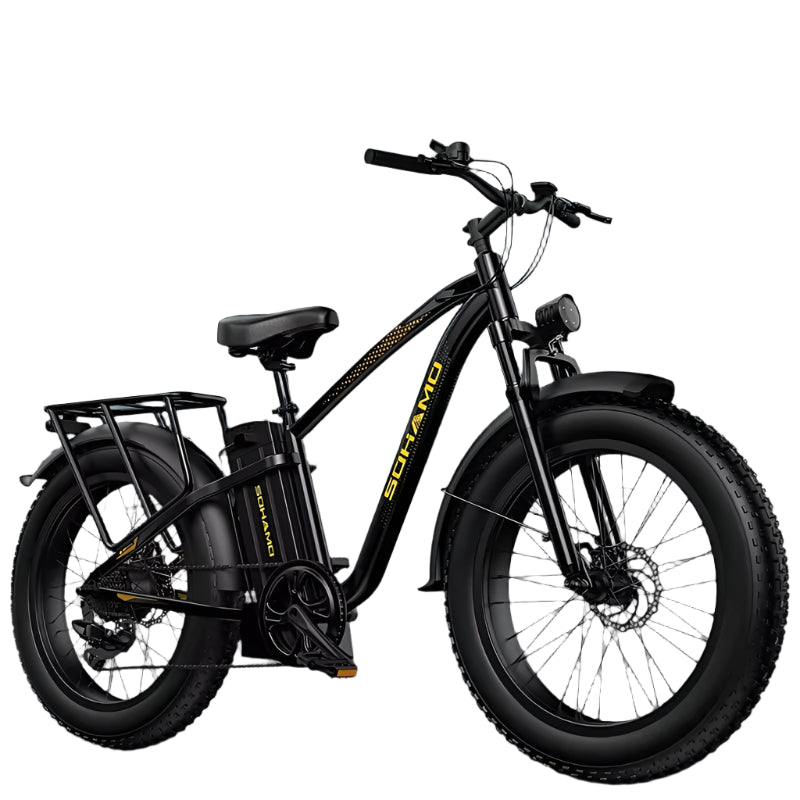 M3 Dual Seat Electric Bike – 48V Brushless Motor, 60km+ Range | Kampayla Adventures